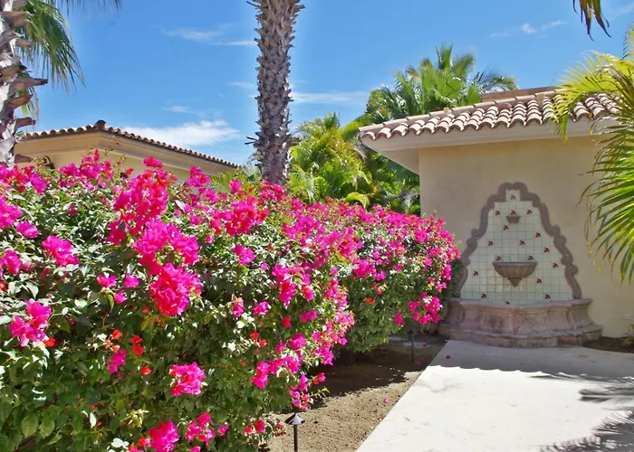 Casa Tortuga Сasa de vacaciones Cabo San Lucas